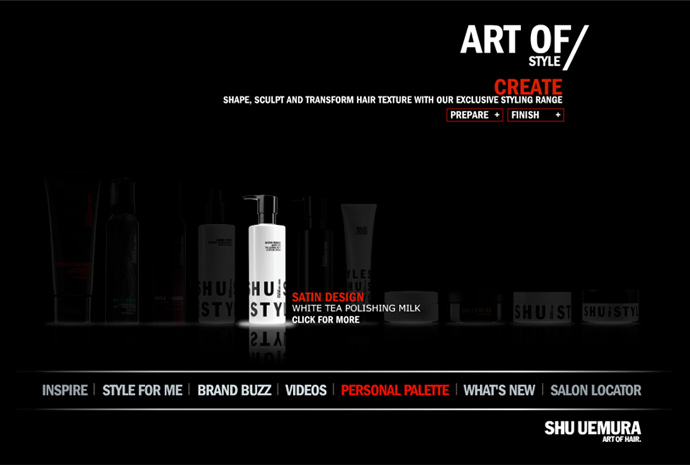 Screen grab of website 5